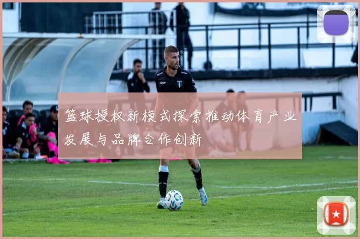 篮球授权新模式探索推动体育产业发展与品牌合作创新