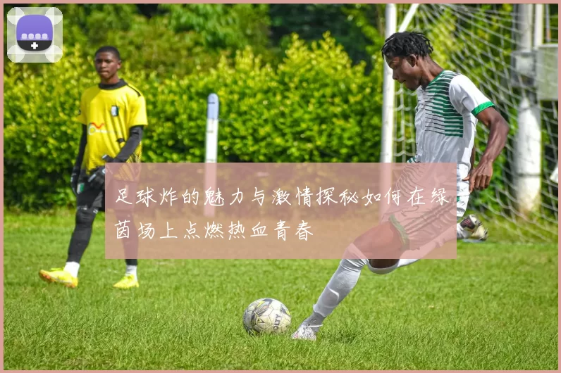 足球炸的魅力与激情探秘如何在绿茵场上点燃热血青春