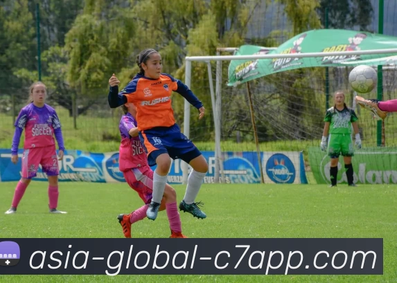 C7娱乐网站服务体系